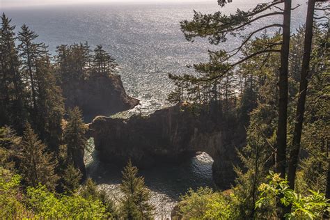 big bouncing butts|Oregon's Natural Bridges: A Guide to an Unforgettable Hike.